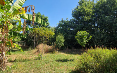 La verdure à FONSORBES: Maison T5 JADE plain pied