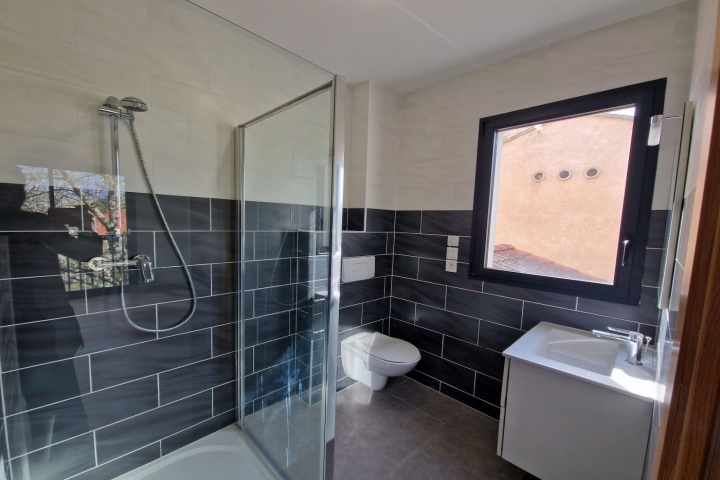 FROUZINS, ,Maison,A vendre,1110