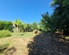 FONSORBES, 0 , 0 ,0,Maison,A vendre,0,1117