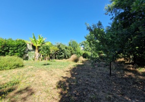FONSORBES, 0 , 0 ,0,Maison,A vendre,0,1117